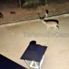 Alojamientos La Bolera de Coto Ríos