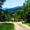 Alquiler de Viviendas Finca El Carrascal