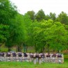 Cabañanas de Madera Montillana