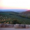 Casa Rural Cortijo La Erilla El Rincón