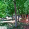 Camping Rural Los Llanos de Arance