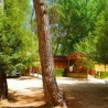 Camping Rural Los Llanos de Arance