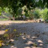 Cortijo Majadahonda