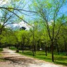 Camping y Casas de Madera Puente las Herrerías