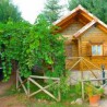 Cabañas de Madera Los Pinos