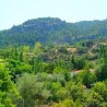 Alojamientos Rincón del Descanso