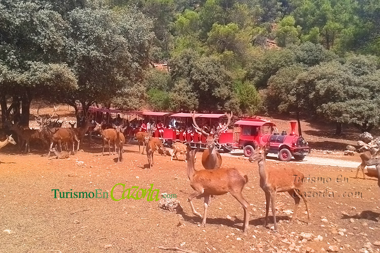 visita guiada en tren turístico