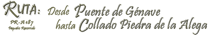 Bienvenido a la Ruta Desde Puente de Génave hasta Collado Piedra de la Alega