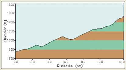 perfil de la ruta