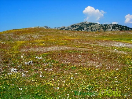 campos-de-hernan-perea-2-ab