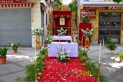 corpus-cazorla-2014-12