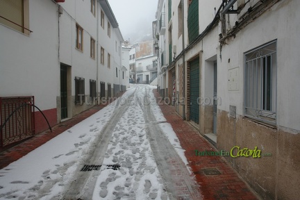 nevada-cazorla-201509-b