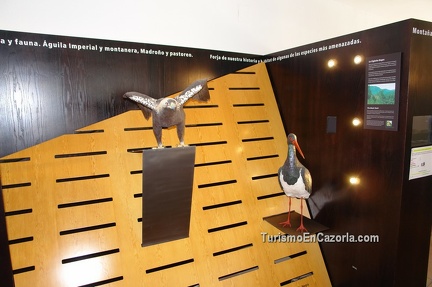 centro-especies-amenazadas-11