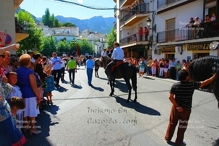 entrada-trigo-cazorla-2010-061