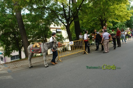 entrada-trigo-2015-23-b