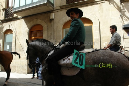 entrada-trigo-2015-243-b
