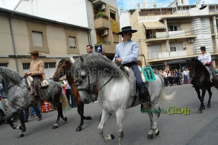 entrada-trigo-2015-87-b