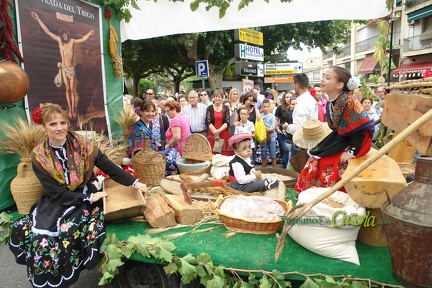 entrada-trigo-cazorla-2016-78-b