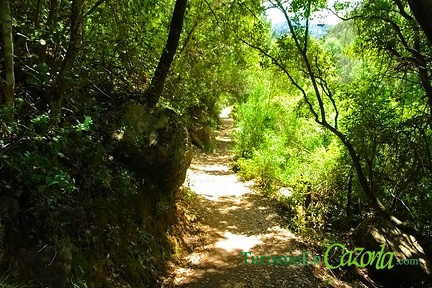 borosa-cerrada-elias-organos-lagunas-34