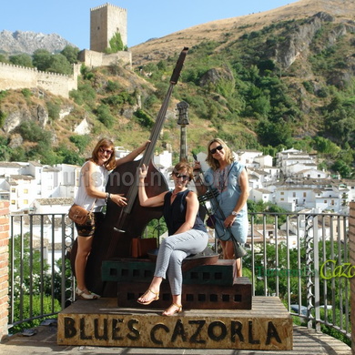 Blues Cazorla 2016