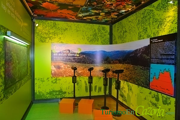 Museo de la Torre del Vinagre