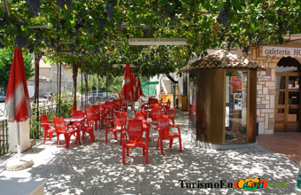 Foto de la finca