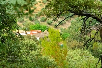 Foto finca.