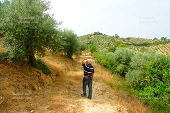 Foto finca.