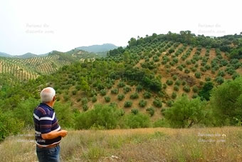 Foto finca.