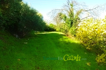 Foto finca.