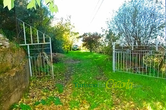 Foto finca.