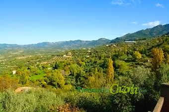 Foto finca.