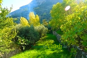 Foto finca.