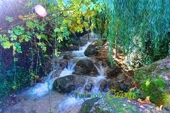 Foto finca.