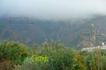Fotos de la Finca.