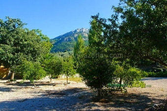 Fotos de la Finca.
