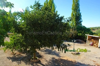 Fotos de la Finca.