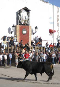 Fiesta de San Marcos
