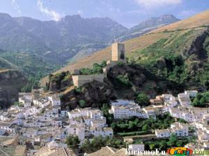 Castillo de la Yedra