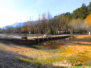 Puente de Coto Ros
