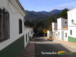 Calle de Coto Ros