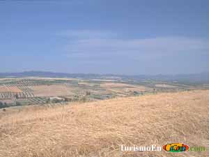 Campos de Santo Tomé