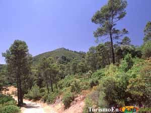 Paisaje de Santo Tom